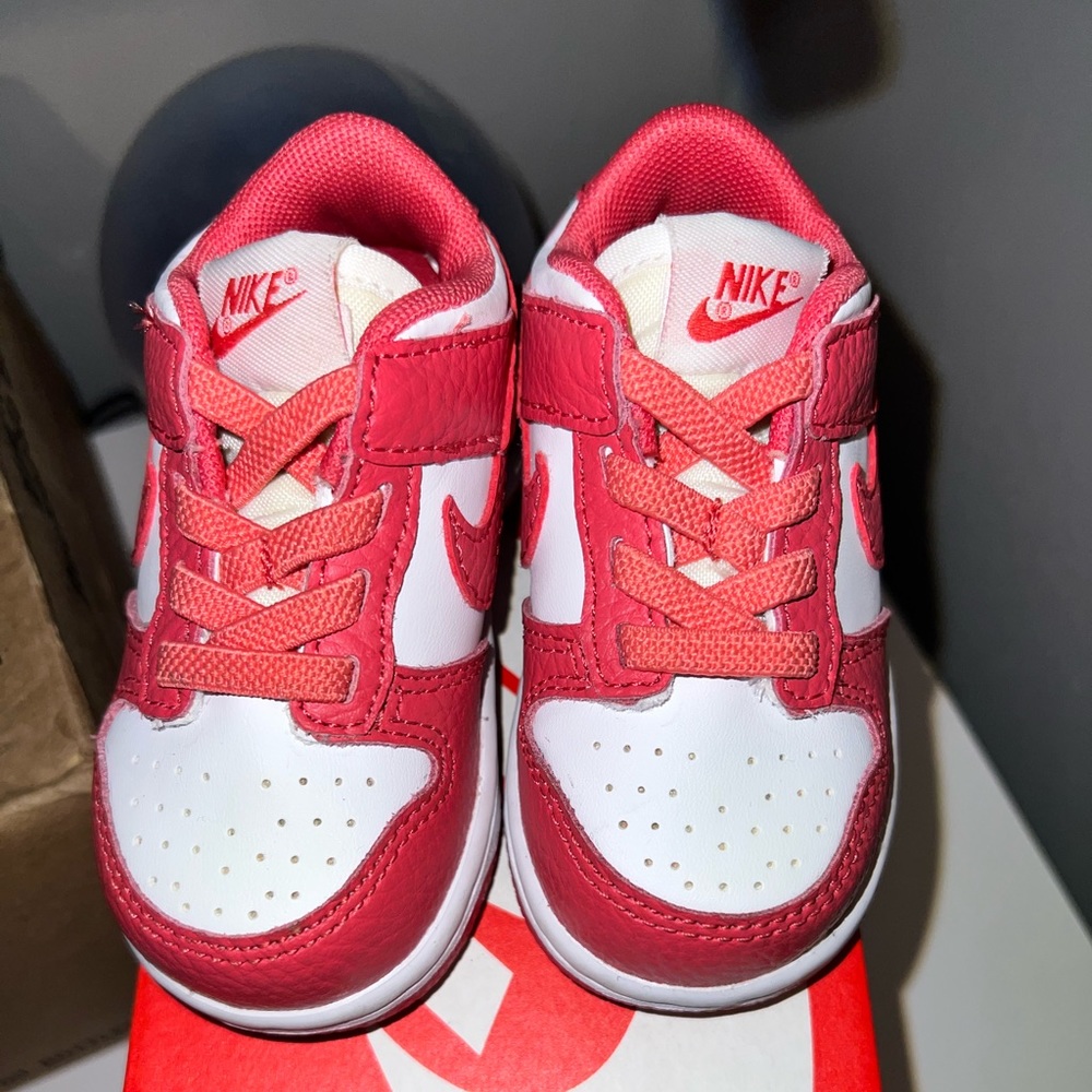 Toddler Nike Dunks